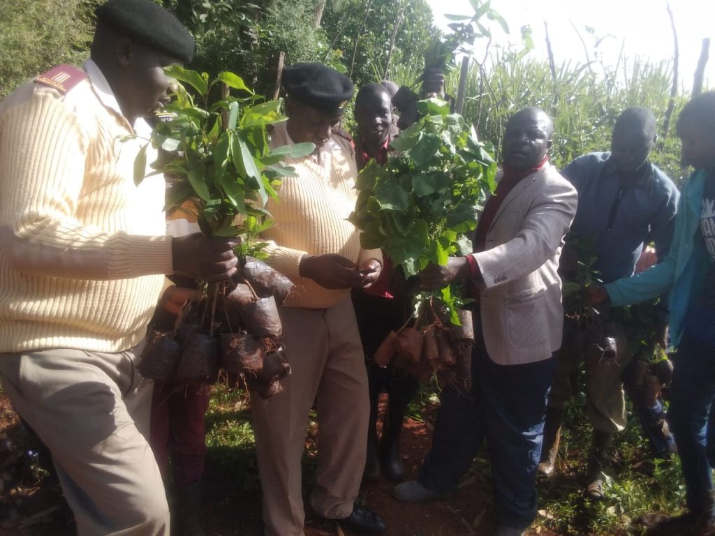 CIPDP and Tulwoob Koony Radio Donate 1000 Tree Seedlings during National Tree Planting Day 2023