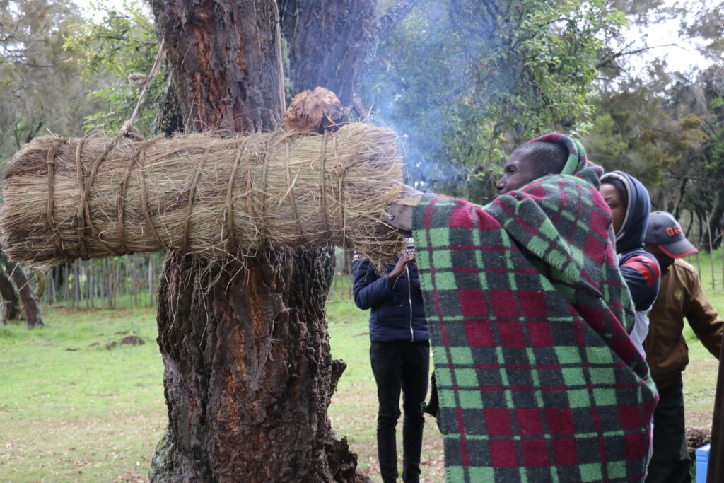 A Threat to Bees, A Threat to Us All – Fundraising for World Bee Day 2025